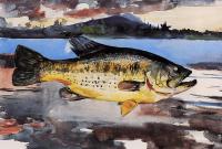 Homer, Winslow - Bass